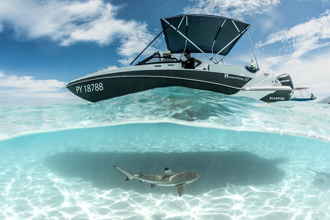 Private Day Trip Hike and Boat in Moorea - Price and value: is $1,822 fair for a private day?