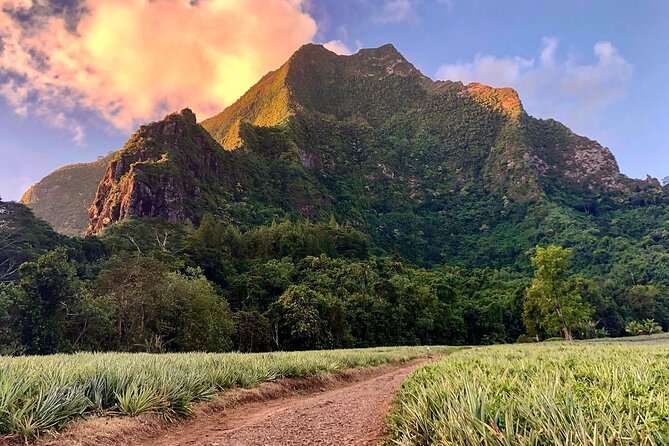 Private Day Trip Hike and Boat in Moorea - The 8:00 am start at Criobe Moorea (and why it matters)