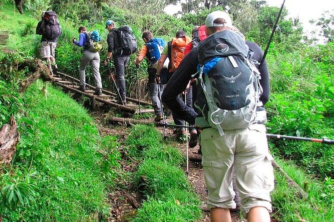 Private Full Day Hiking Experience to Marangu Route - The Descent Back to the Main Gate: Slow, Safe, and Focused