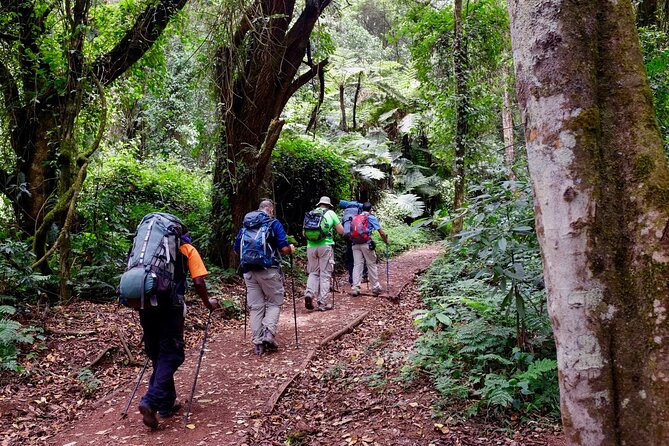 Private Full Day Hiking Experience to Marangu Route - Return Drive to Arusha: Cold or Warm Beer and Real Down Time