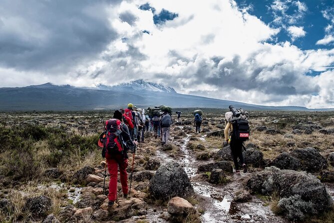 Private Full Day Hiking Experience to Marangu Route - Private Tour Value: The Comfort of Not Sharing the Day