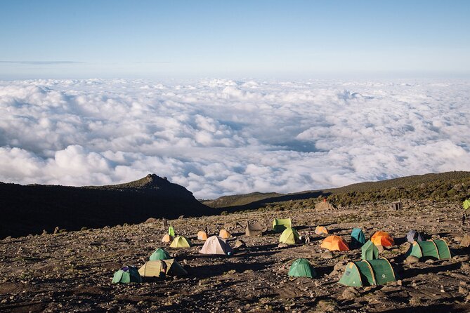 Private Full Day Hiking Experience to Marangu Route - Price and What You’re Really Paying For ($260 Per Person)