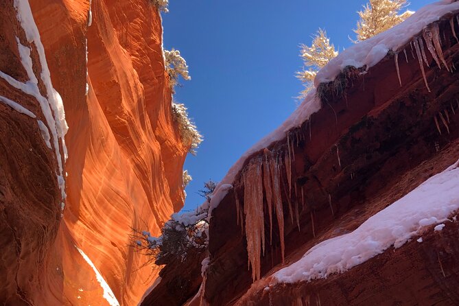 Private Guided Hike through Peekaboo Slot Canyon - Price and value: is $195 per person worth it?