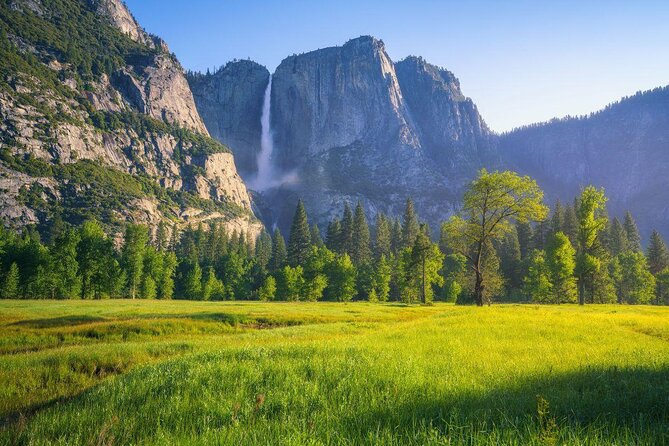 Private Guided Hiking Tour in Yosemite - Key highlights that matter on the trail