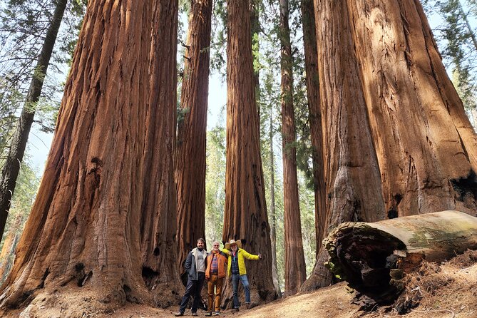 Private Guided Hiking Tour - Sequoia National Park - Key things to know before you go