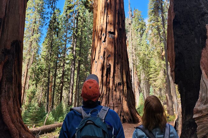 Private Guided Hiking Tour - Sequoia National Park - One day across Sequoia and Kings Canyon without the logistics headache