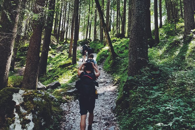 Private Guided Hiking Tour - Sequoia National Park - The drive-thru Sequoia log: quick, iconic, and fun