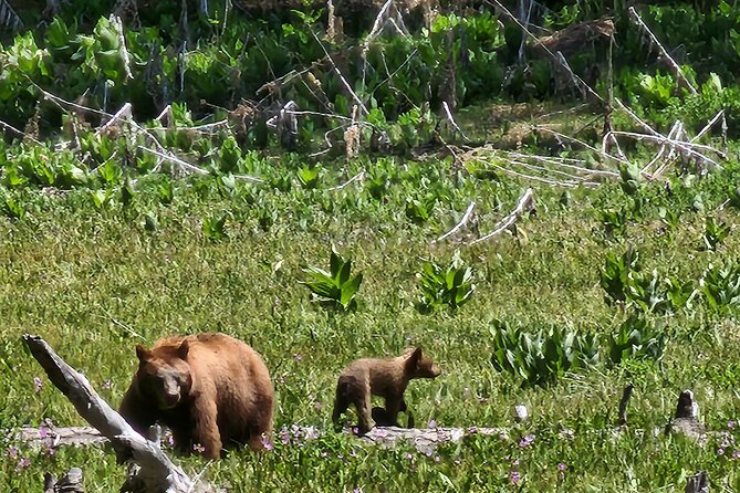 Private Guided Hiking Tour - Sequoia National Park - Why a private guide like Krista makes the day feel bigger