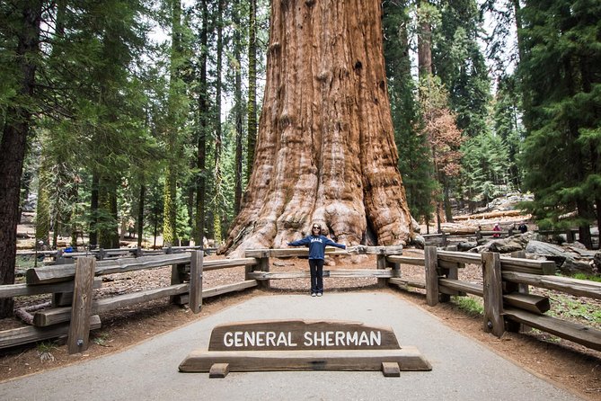 Private Guided Hiking Tour - Sequoia National Park - Start point: General Sherman Trailhead at 9:00 am (and back again)