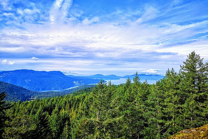 Private Guided Rainforest Hike in Victoria - If You Get a Coast Add-On: Seals, Tod Inlet, and Binoculars