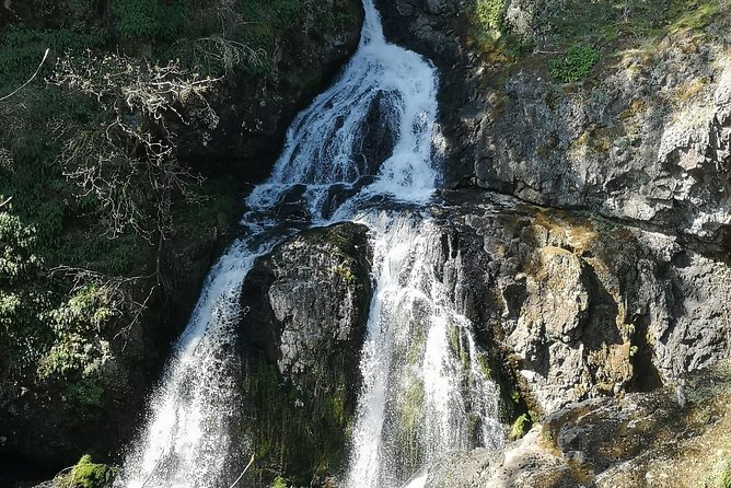 Private Guided Rainforest Hike in Victoria - Castle Stops and Bonus Stops: When Time Lets You Stretch the Day