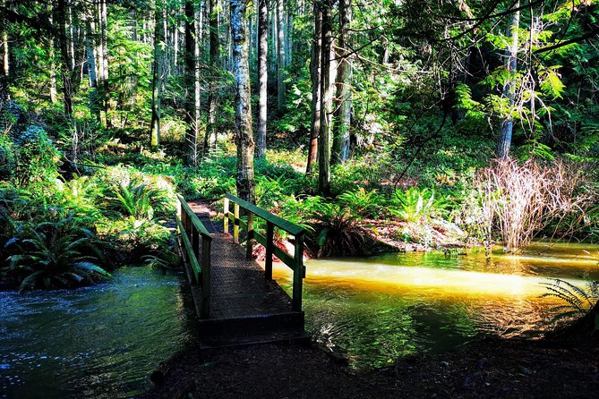 Private Guided Rainforest Hike in Victoria - Price and Value: Is $82.57 Worth It?