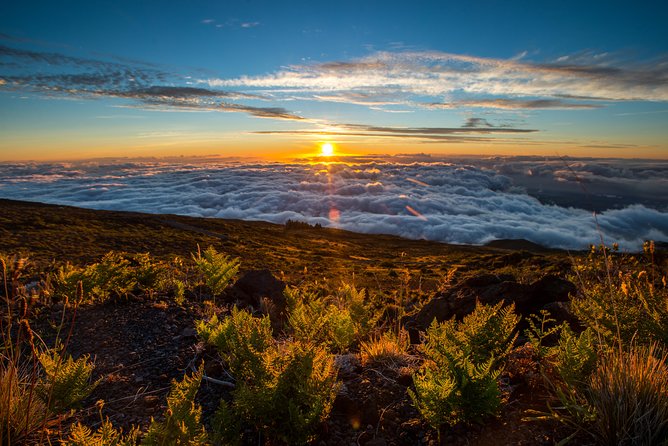 Private Haleakala Summit & Stroll from Kahului - From Kahului to Haleakalā’s high-country: what makes this day work