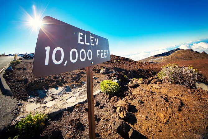 Private Haleakala Summit & Stroll from Kahului - Pu‘u‘ula‘ula and the Silversword: why one plant stop matters