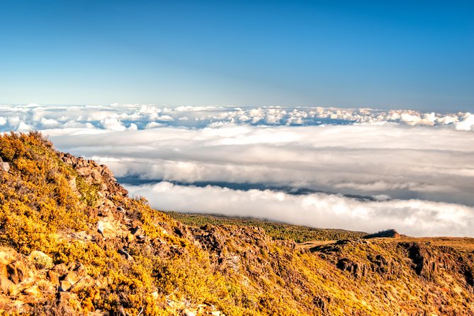 Private Haleakala Summit & Stroll from Kahului - Crater Road / Haleakalā Highway drive: terrain changes you can actually notice
