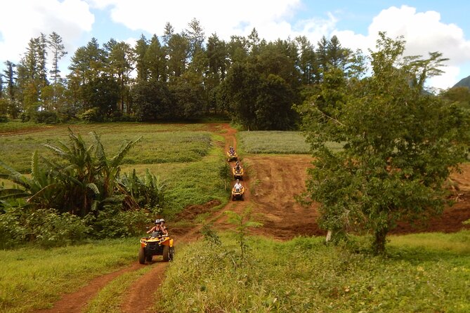 Private Half-Day Hike in the Opunohu Valley in Moorea - Pineapple fields: seeing Moorea’s working side up close