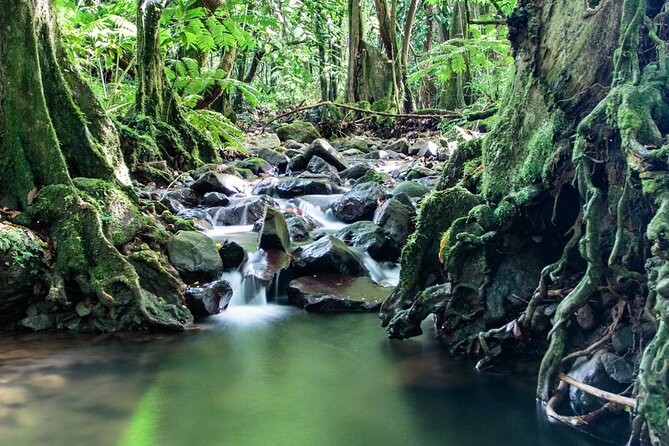 Private Half-Day Hike in the Opunohu Valley in Moorea - Archaeological trails: meaning without the lecture overload