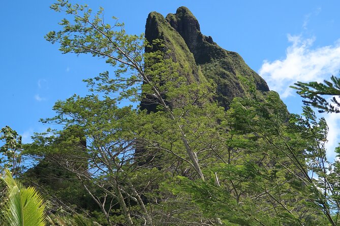 Private Half-Day Hike in the Opunohu Valley in Moorea - What makes Fabien’s guiding style work