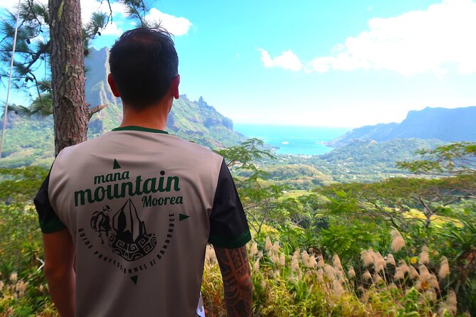 Private Half-Day Hike in the Opunohu Valley in Moorea - Meeting at Criobe Moorea30 and how the timing feels