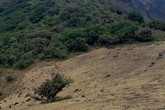 Private Half Day Hike to Ngong Hills from Nairobi - The views: Rift Valley on one side, Nairobi on the other