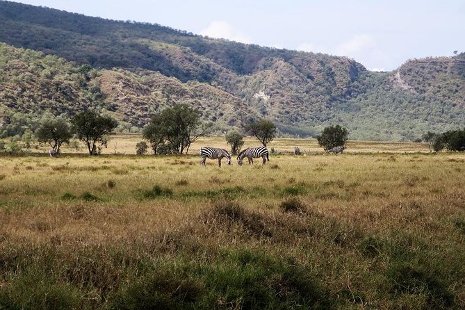 Private Hiking Day Trip to Mt. Longonot from Nairobi - Leaving Nairobi for Mt. Longonot: What Makes This Day Trip Click