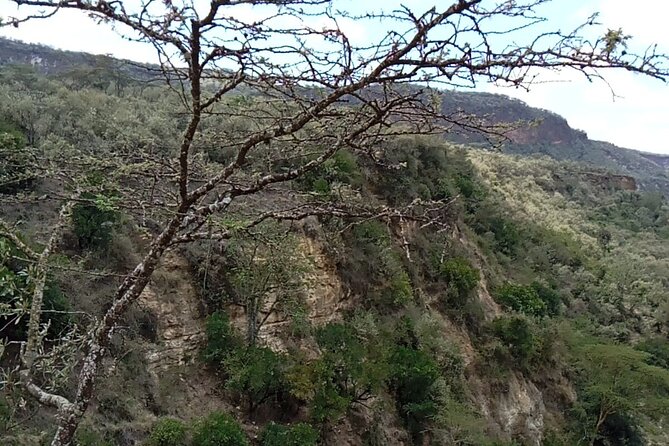 Private Hiking Day Trip to Mt. Longonot from Nairobi - Lake Naivasha Lunch and the Optional Boat Cruise