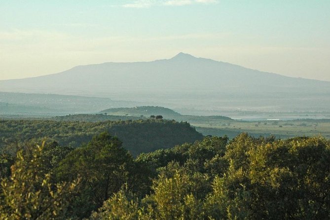 Private Hiking Day Trip to Mt. Longonot from Nairobi - Value and Price: Is $130 Worth It for You?