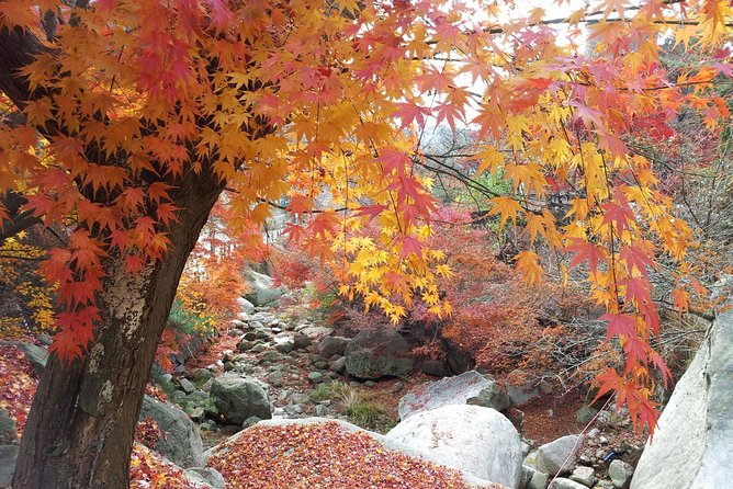 Private Hiking to Bukhansan & Korean Style Spa(Include Lunch) - Korean spa time: how to enjoy jimjilbang without awkward surprises