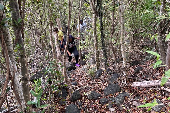 Private Hiking Tour in British Virgin Island with the Best 360 View - Private tour benefits: why “just your group” changes everything