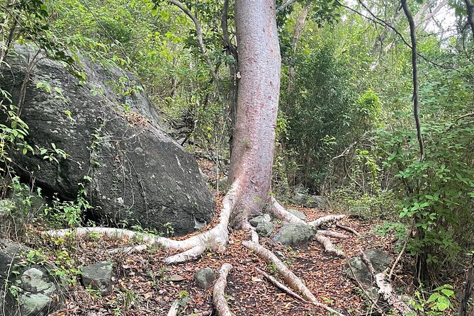 Private Hiking Tour in British Virgin Island with the Best 360 View - The top-of-hike moment: snack, drinks, and the view payoff