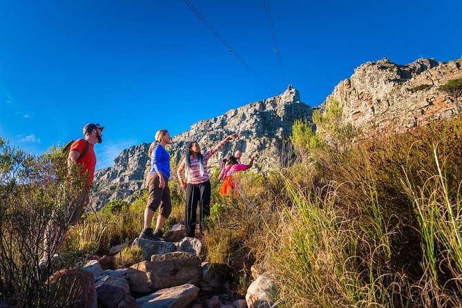 Private Hiking Tour of Table Mountain - Key things to know before you go