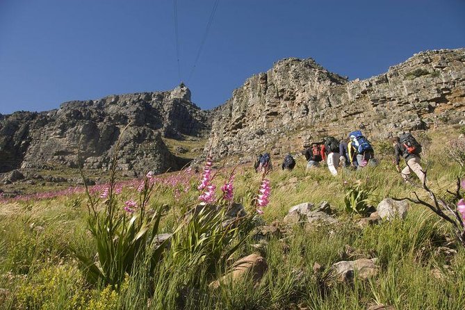 Private Hiking Tour of Table Mountain - Why this private Table Mountain day feels better than going solo