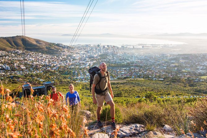 Private Hiking Tour of Table Mountain - Weather reality: what to do if the mountain doesn’t cooperate