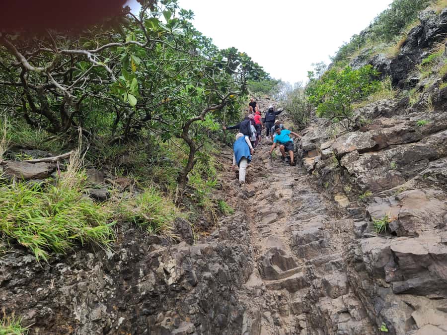 PRIVATE LeMorne Mountain Picturesque Hike-UNESCO Recognised - What to Bring (and What to Avoid) for This Steep Trail