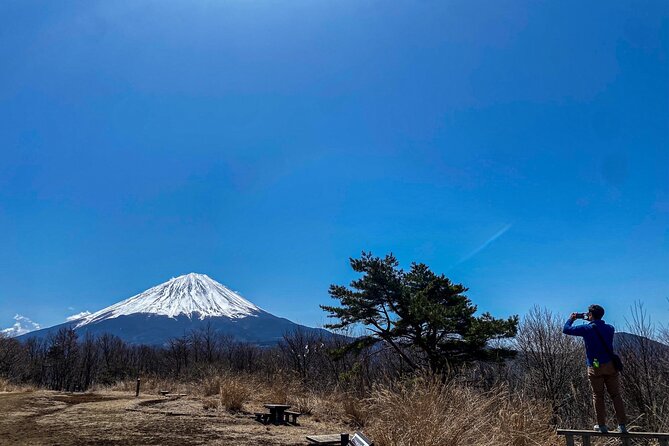 Private Local Hiking to enjoy the nature and culture of Mt.Fuji - Aokigahara Forest and the Sea of Trees Viewpoint Feel