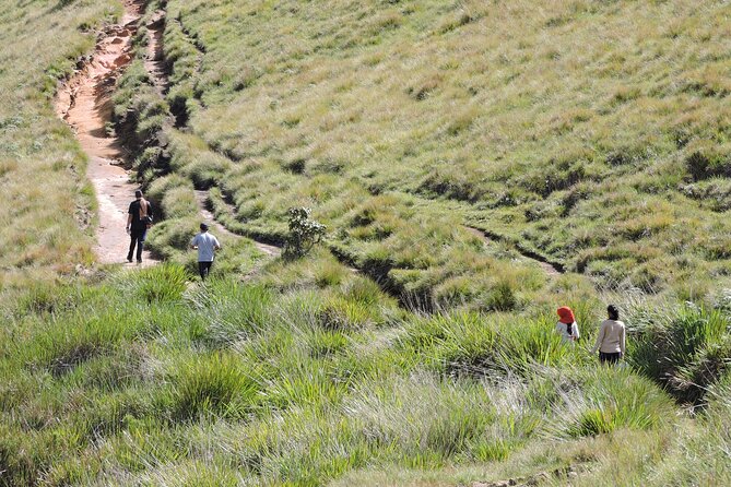 Private Multi-Day Sri Lanka Treks and Hikes Tour - Kirigalpoththa in Horton Plains: the summit test day