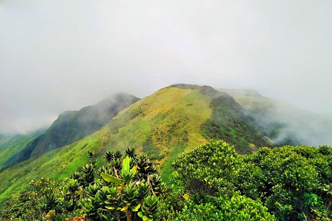 Private Multi-Day Sri Lanka Treks and Hikes Tour - Thangamale Sanctuary trek to Udaveriya: rainforest walking with rail scenery
