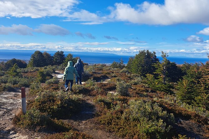 Private Patagonian Forest Hike in Punta Arenas: 4 Hour - Key Things That Make This Hike Worth Your Time
