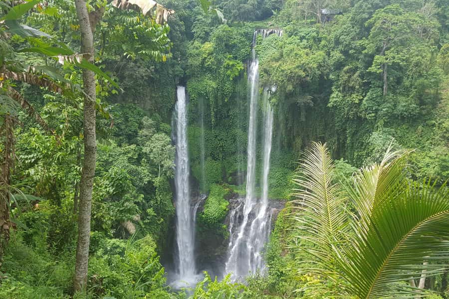 Private Sekumpul Waterfall Hiking Tour - Sekumpul Waterfall Trek: Stairs, Spray, and Photo Moments