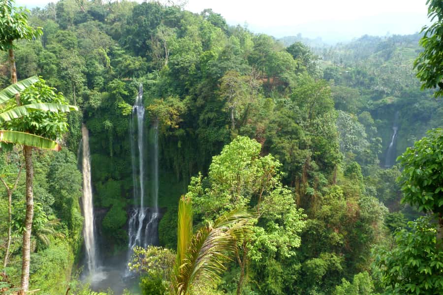 Private Sekumpul Waterfall Hiking Tour - Price and Value: Is $58 a Good Deal?