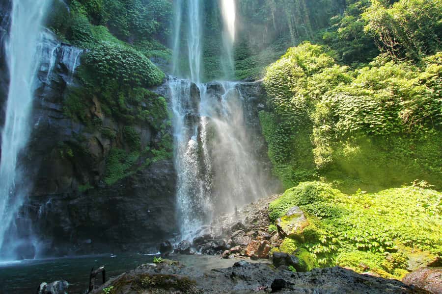 Private Sekumpul Waterfall Hiking Tour - Who Should Book, and Who Should Skip