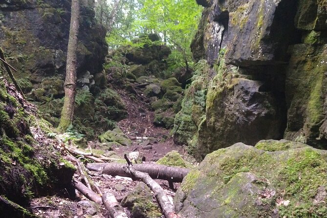 Private Singhampton Caves Hiking Tour, Collingwood/Blue Mountain - A Private Guide Means No Guesswork (and Real Attention to Your Style)