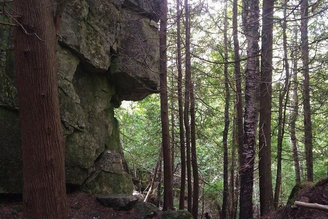 Private Singhampton Caves Hiking Tour, Collingwood/Blue Mountain - Singhampton vs. Nottawasaga Bluffs: Pick Your Cave Style