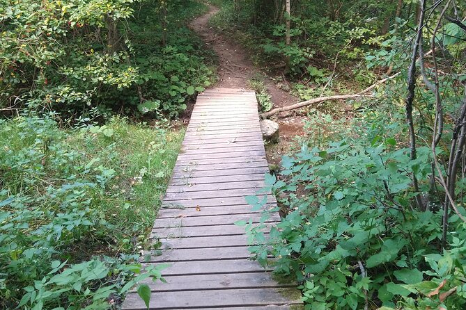 Private Singhampton Caves Hiking Tour, Collingwood/Blue Mountain - What to Bring (and How to Avoid the Usual Hiking Mistakes)