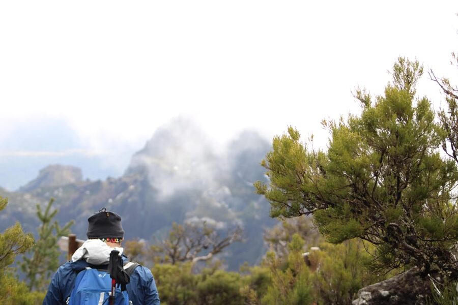 Private Sunrise Hike to Pico Ruivo with Hotel Pickup - Price and value: what $94 covers for a private Pico Ruivo morning