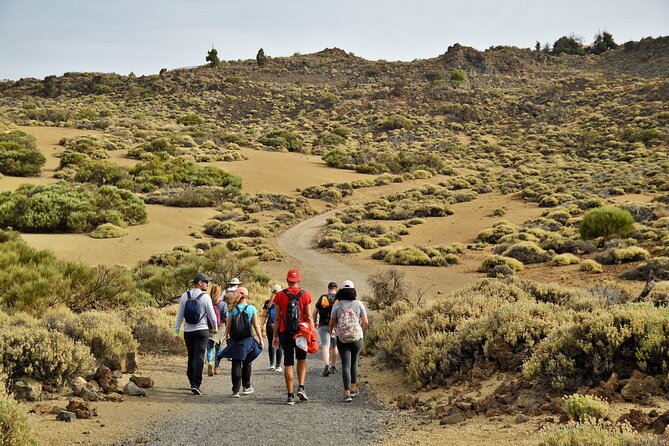 PRIVATE TOUR Teide National Park: Hiking and Stargazing - Pine forest to Teide: the hike starts before the park