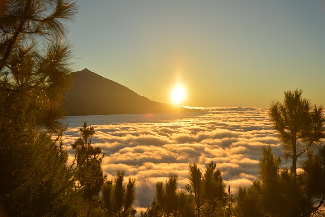 PRIVATE TOUR Teide National Park: Hiking and Stargazing - Entering the park on a film-worthy path