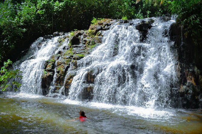 Private Waterfalls Hike and Swim in Lihue - The Huleia Waterfall Hike That Feels More Local Than Tourist-Queue