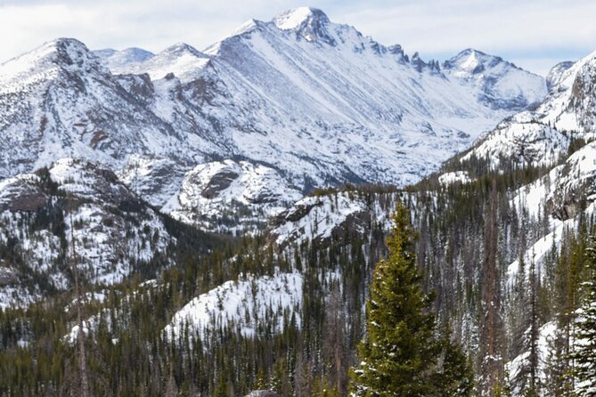 Private Wildlife Hiking Tour in Rocky Mountain National Park - Price and Value: Is $175 Per Person Reasonable?
