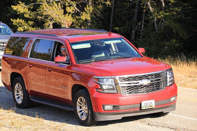 Private Yellowstone Tour: ICONIC Sites, Wildlife, Family Friendly Hikes + lunch - Yellowstone Lake Picnic: Where Lunch Actually Feels Like Part of the Day